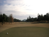 ���ߥåȥ���ե���֡�2008/12/08��