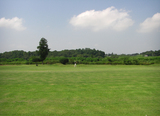 ��������ꥫ��ȥ꡼�������饦��ɡ�2008/07/20��
