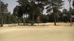 ��������դΥ��꡼��