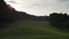 ���������饴��ե�󥯥�