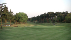 ��������ե����ε�����18�֥ۡ��륰�꡼����������