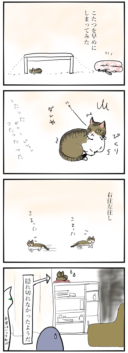 隠れ場所を失った猫 廃墟と猫とニート 隠れ場所を失った猫 廃墟と猫とニート