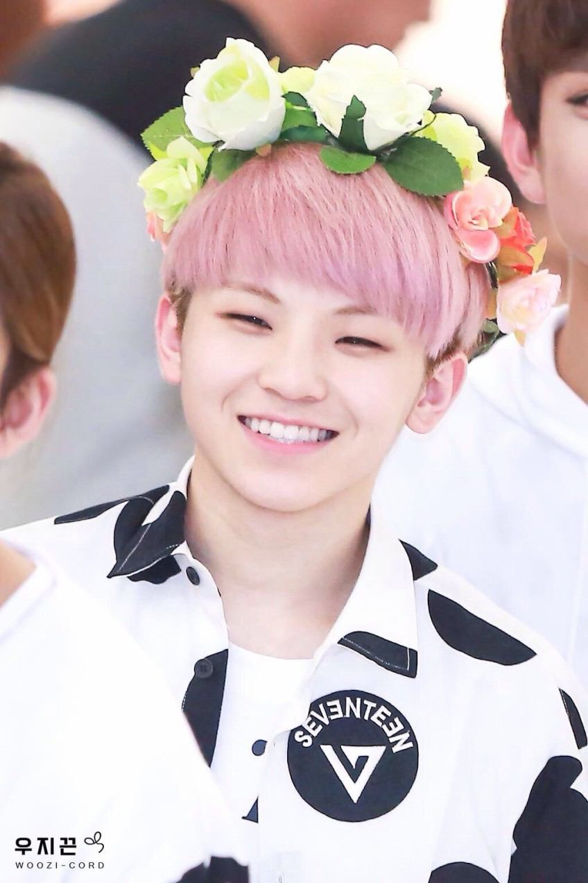SEVENTEEN♪VOCALチーム編 : Haru*Haru SEVENTEEN♪VOCALチーム編 : Haru*Haru