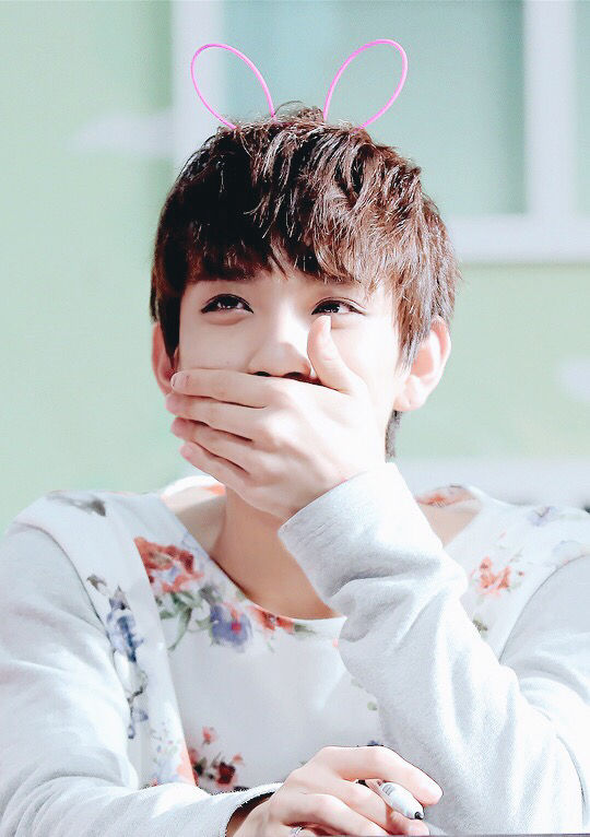 Seventeen Vocalチーム編 Haru Haru