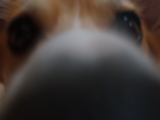 20060707