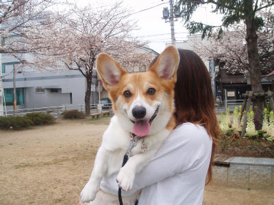 20070420