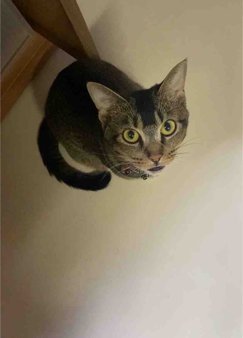 IMG_3036