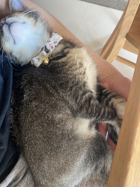 IMG_8036