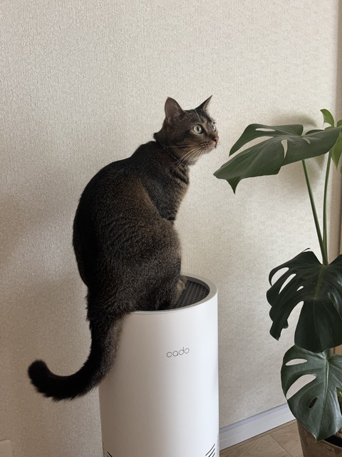 IMG_6883