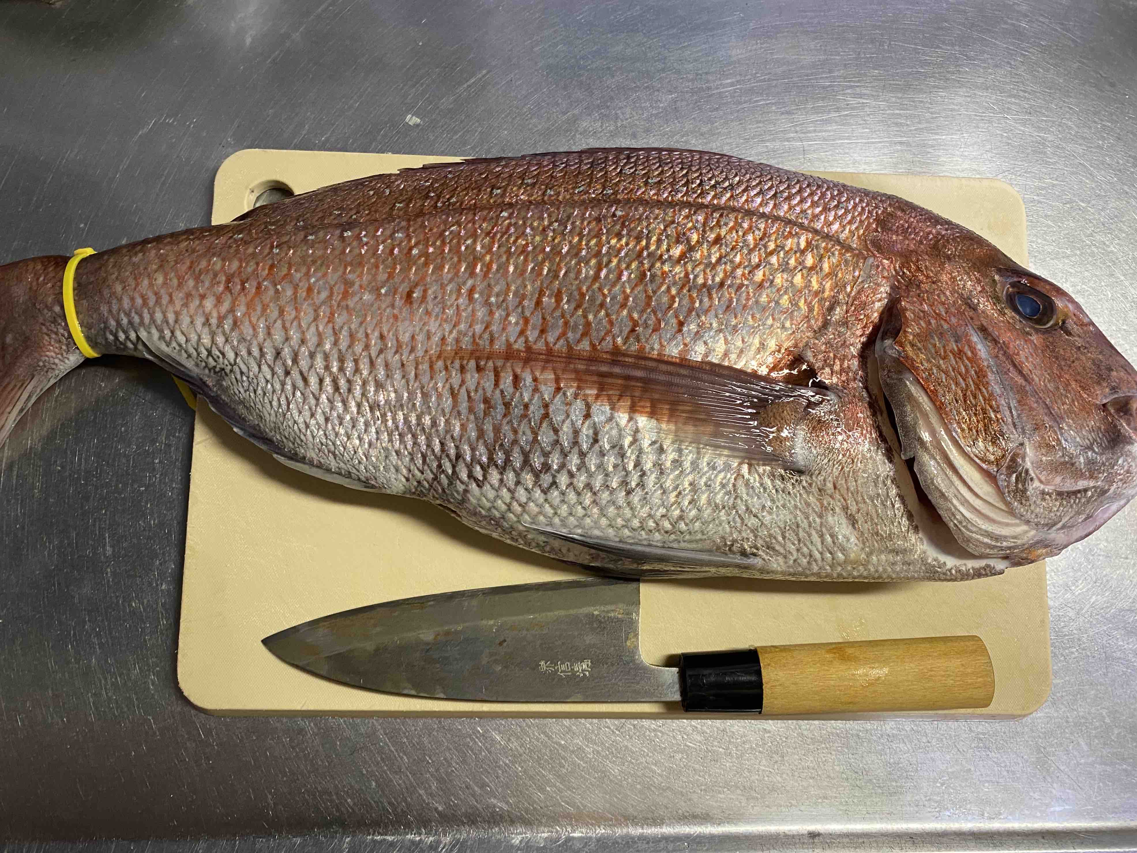 豪華な魚で朝定食と楽した朝ごはん はるはるの子供アスリート栄養満点ごはん Powered By ライブドアブログ 豪華な魚で朝定食と楽した朝ごはん はるはるの子供アスリート栄養満点ごはん Powered By ライブドアブログ