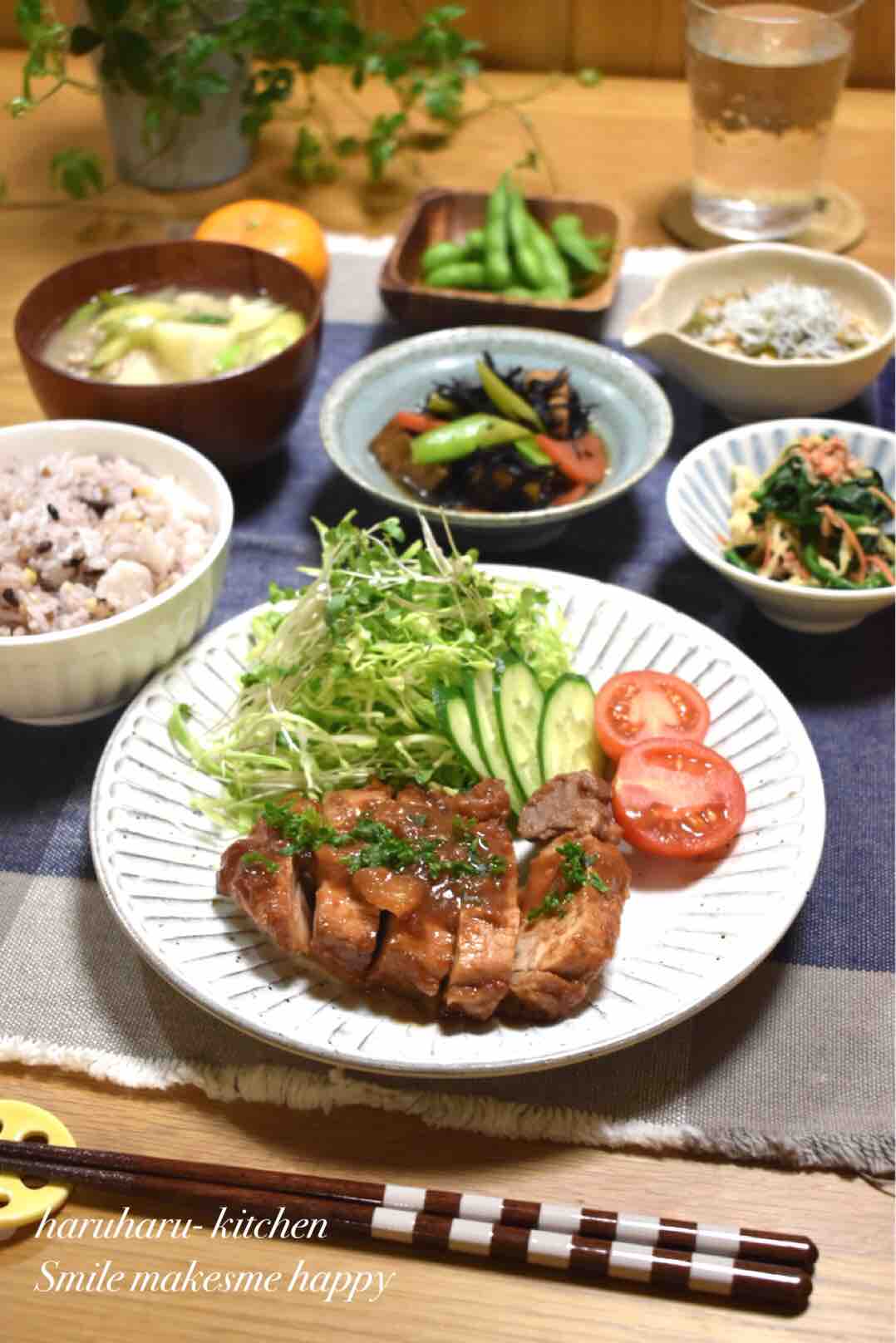 活動歴および当時の関連ビジュアル記録