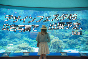 美ら海水族館2 ツイッター用2