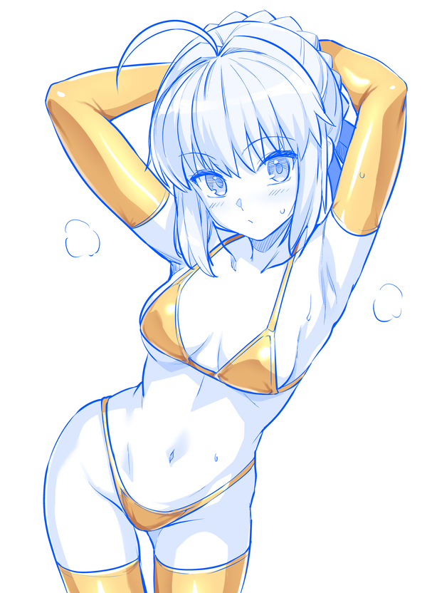金ビキニセイバーさん