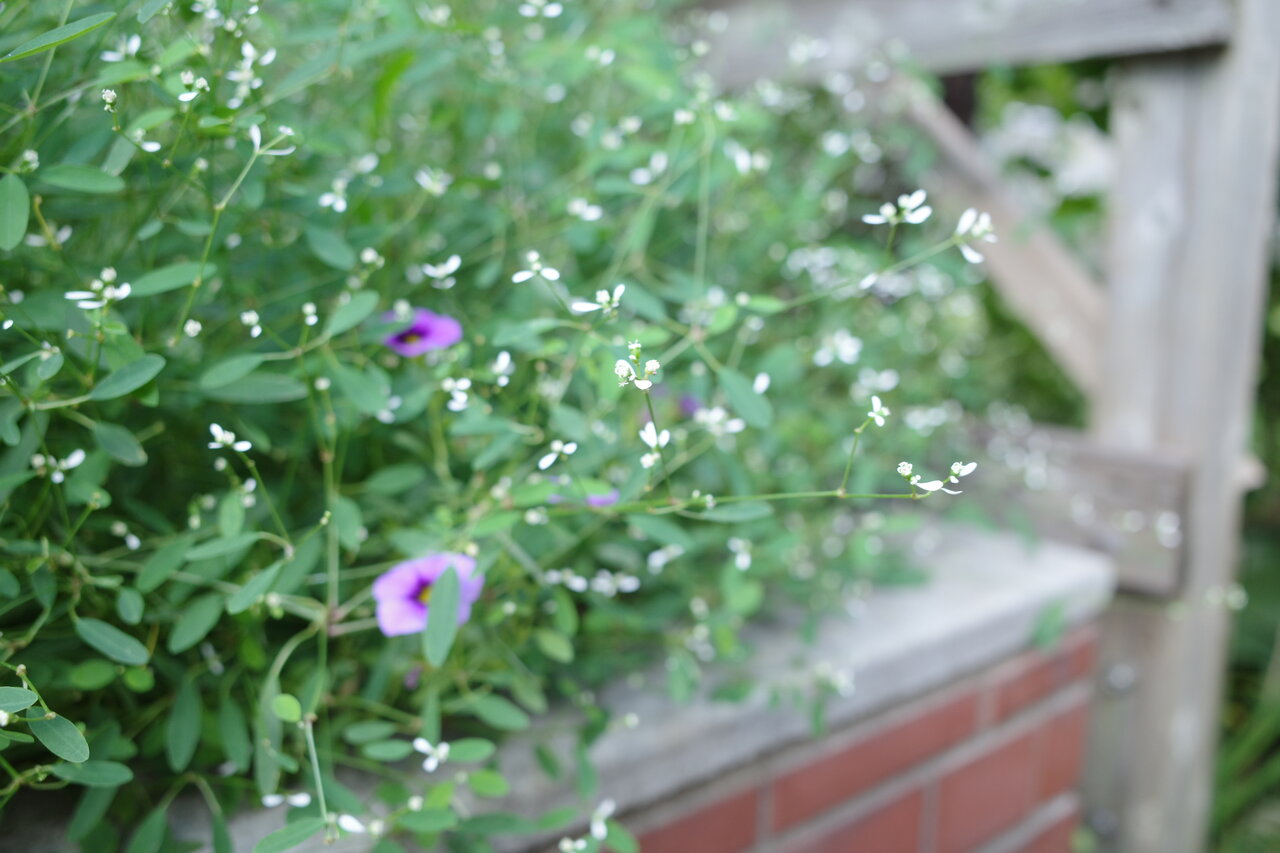 R0007005