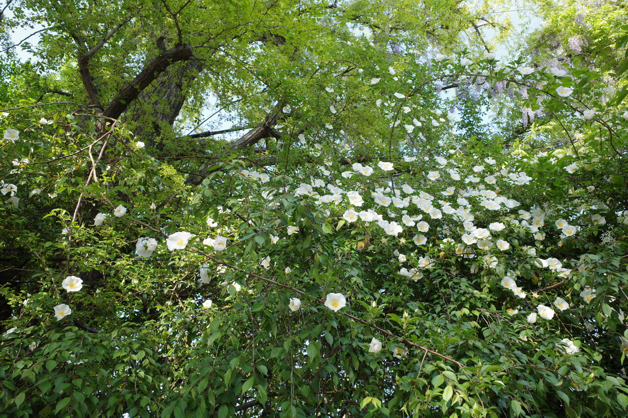 R0003340
