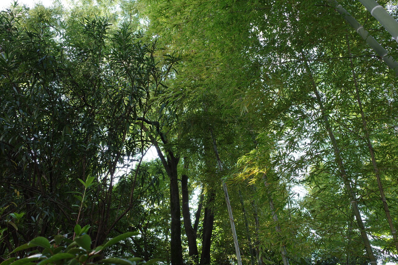 R0001666