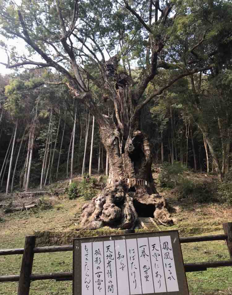 真面目に一生懸命仕事に打ち込む 万日回峰 山中康弘 真面目に一生懸命仕事に打ち込む 万日回峰 山中康弘