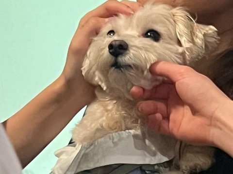 344787807_928498428416224_9138748104114494126_n