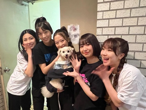 345060250_711384267405538_2305580005588161135_n