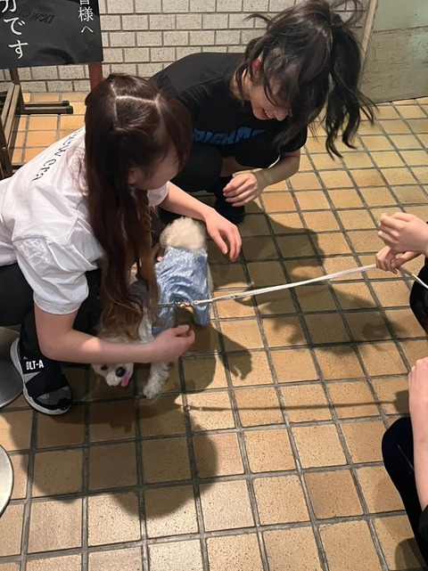 o0809108015279602410
