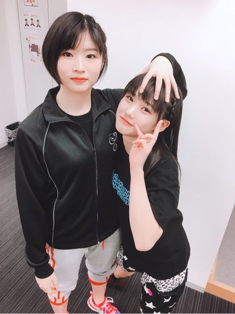 039ee0d70b6545093d524fc9712f5319