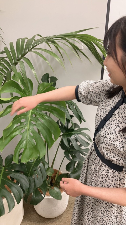 o1080192015329755466