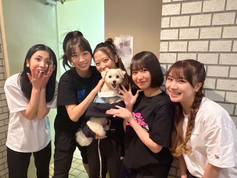 344877648_798935828378683_1287487207326229272_n