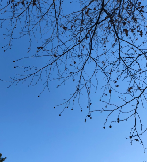 db458ed2-f1f0-4196-9b2d-c20ea2f6c67c