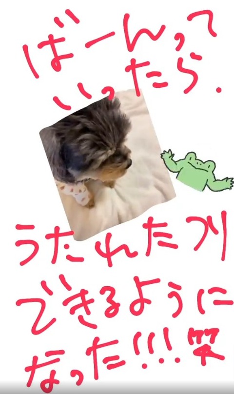 ddd35ed8-affb-4cae-8c1b-d1db10365e3a