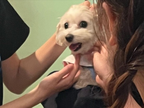 344585492_252075487304956_5449400659399694344_n