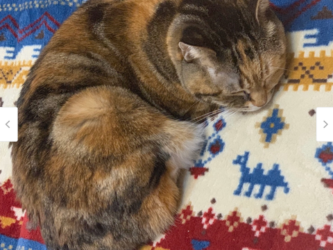 17e4875f-8da1-480b-a0dd-675295a83286