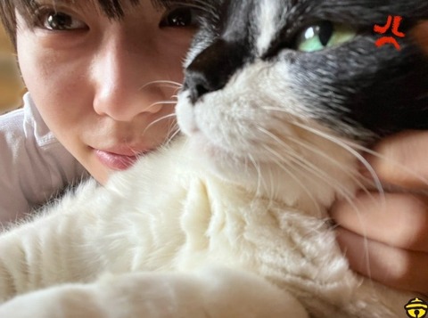 31279689-62f6-4ac2-949a-bba5296140c2