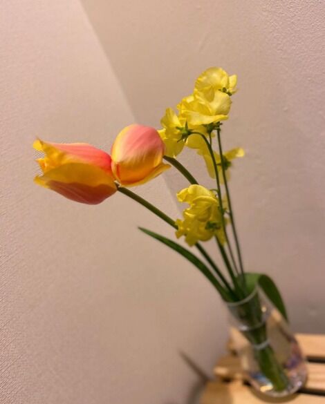 65a51fa1-69b5-4bcc-8e3c-fffd8cd65303