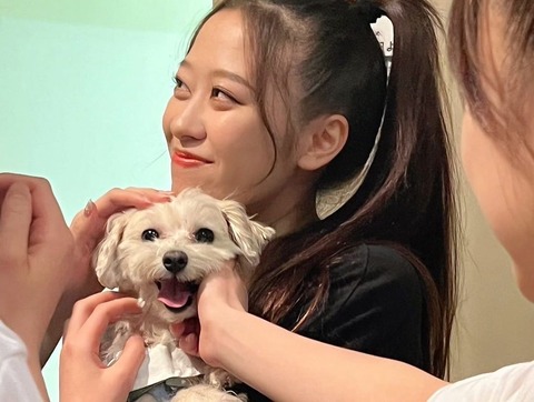 344840679_964870138045570_55828940429100874_n