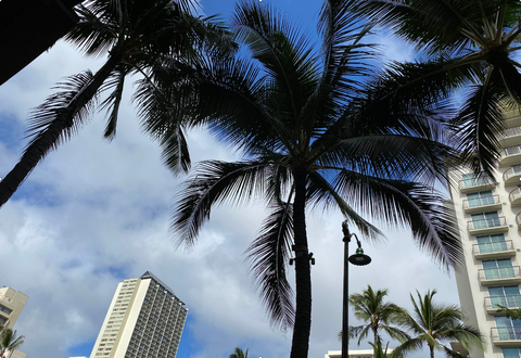 e22a334a-b693-4907-99be-8b5fb3d68823