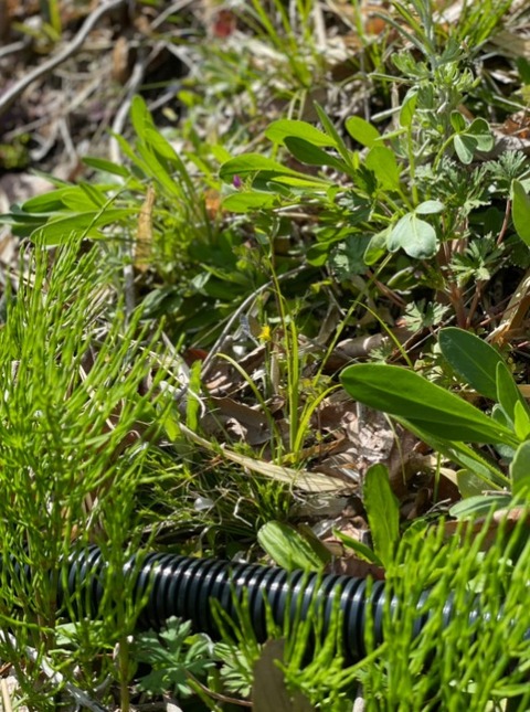 93214e59-457f-4dfc-ac02-8c9933d587a9