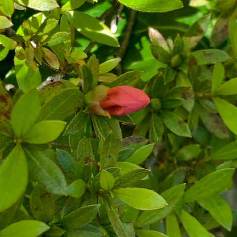 45ec5d5b-b181-401e-b1e2-53a4285a72f5