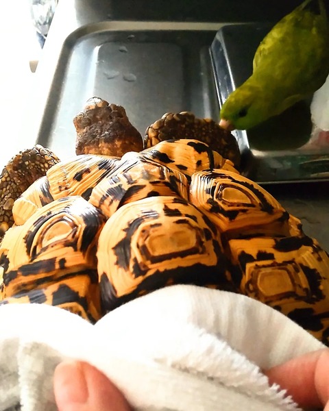 IMG_20220116_113529_238