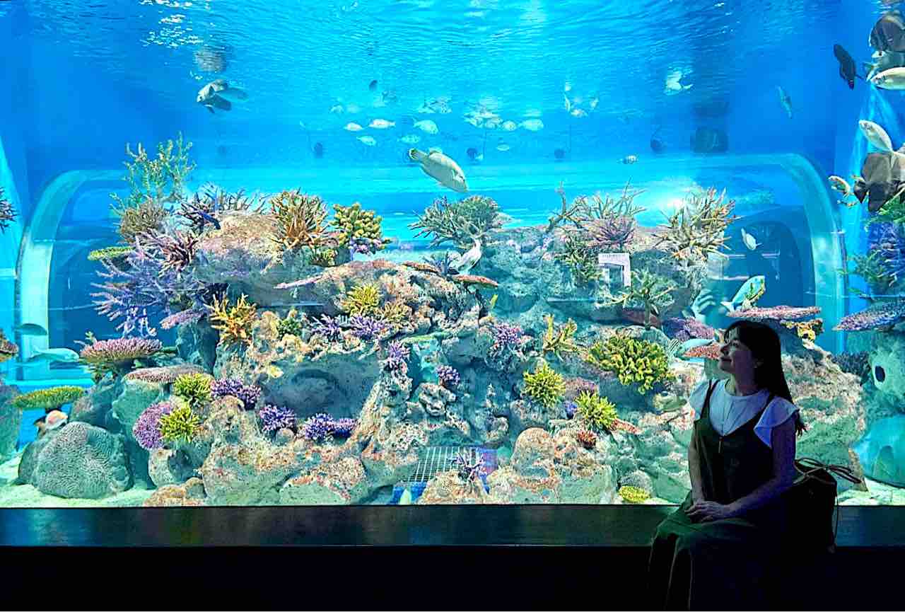 DMMかりゆし水族館 : ビットコインクイーン名波はるかのビットコインでEnjoyLife