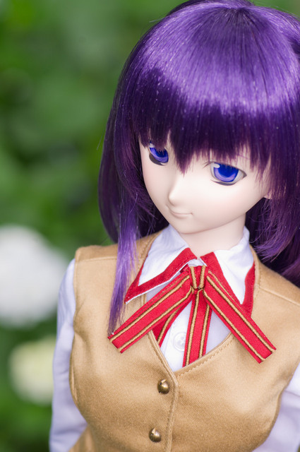 アジサイ撮影オフ DD桜3