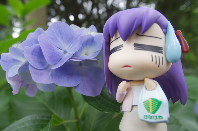 アジサイ撮影オフ へたれ桜2