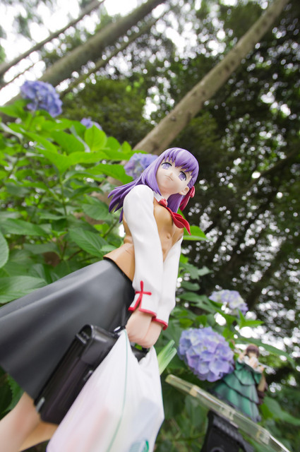 アジサイ撮影オフ F桜2