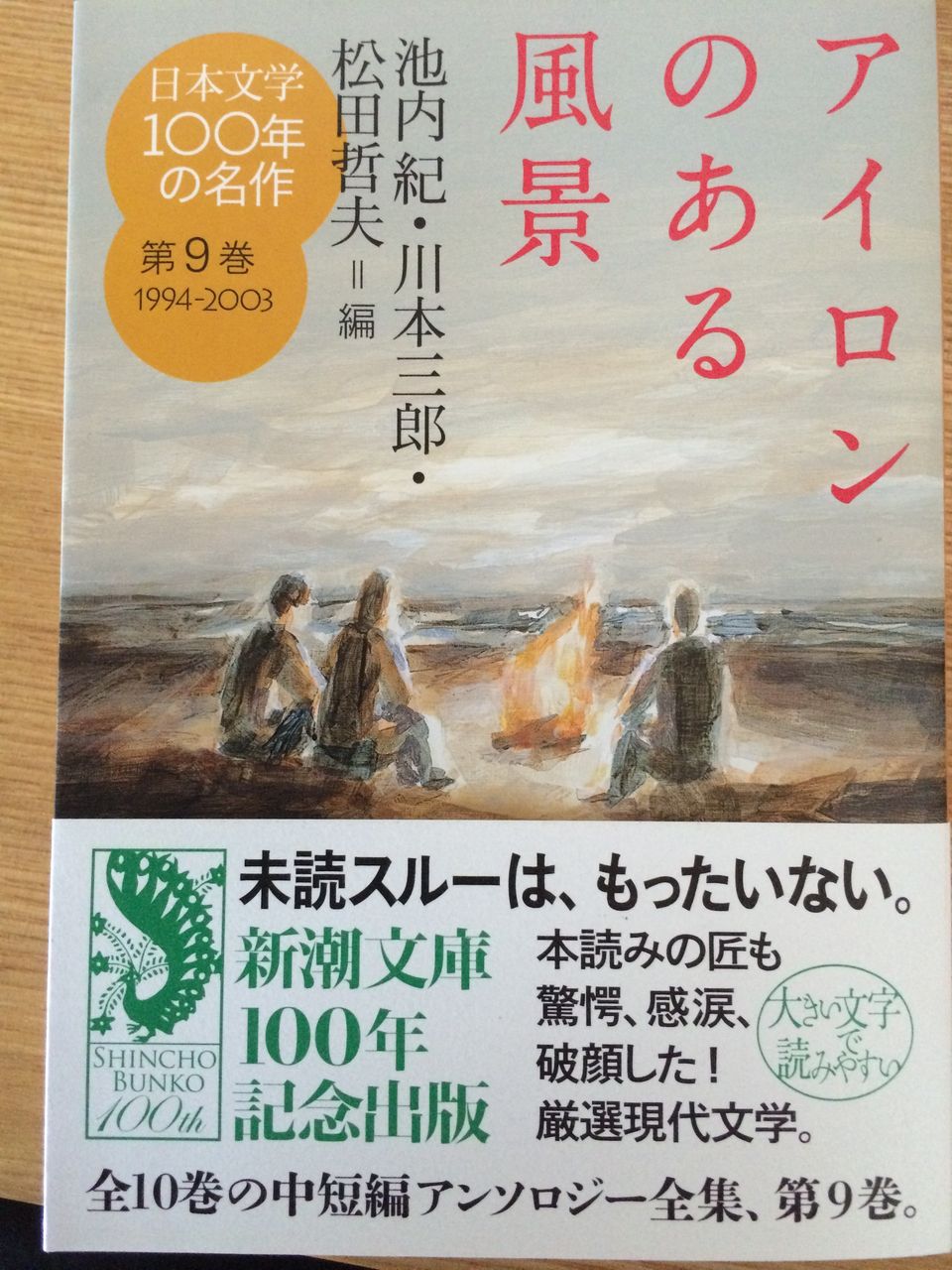 日本文学100年の名作第9巻1994 03 アイロンのある風景 村上春樹補完計画