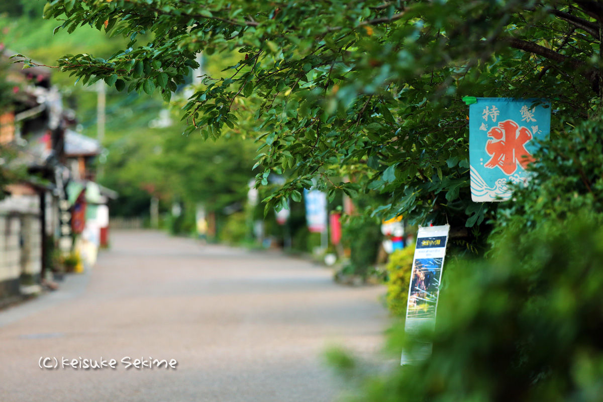 醒ヶ井の梅花藻 滋賀県 茶飲み暮らし 和と自然の風景写真ブログ 醒ヶ井の梅花藻 滋賀県 茶飲み暮らし 和と自然の風景写真ブログ