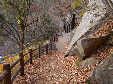 川沿いの路