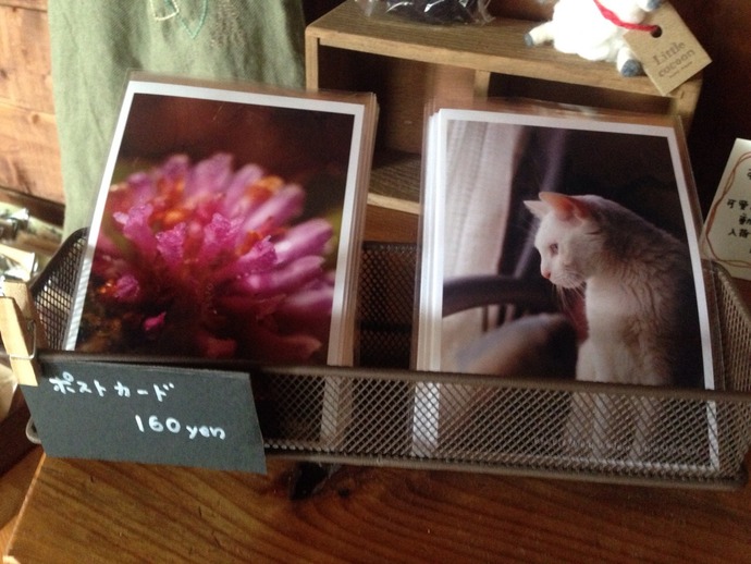 image1 (1)