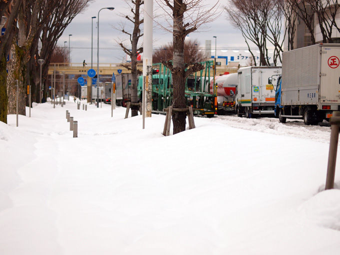 茶飲み暮らし 和と自然の風景写真ブログ 雪の写真 Livedoor Blog ブログ 茶飲み暮らし 和と自然の風景写真ブログ 雪の写真 Livedoor Blog ブログ