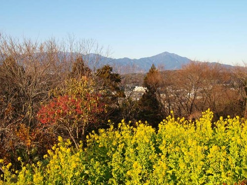 山々に囲まれる