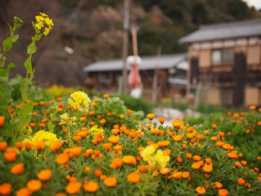 okisima022