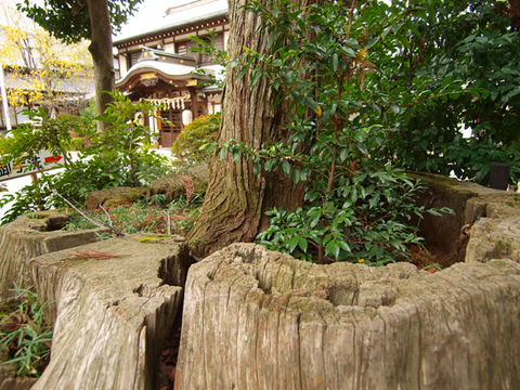 木から木
